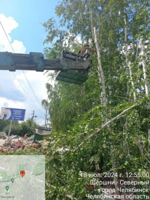 Сетевой организацией были выполнены работы по опиловке деревьев и кустарников в охраной зоне линии 10кВ.